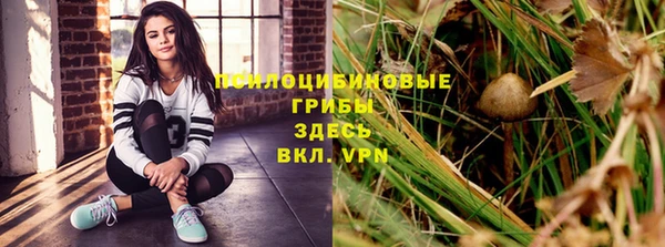 трава Алзамай